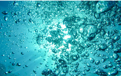 V06